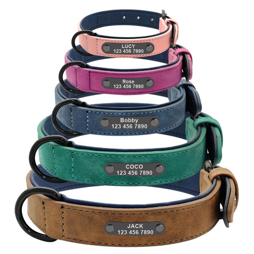 Collare per cani taglia grande - collare,