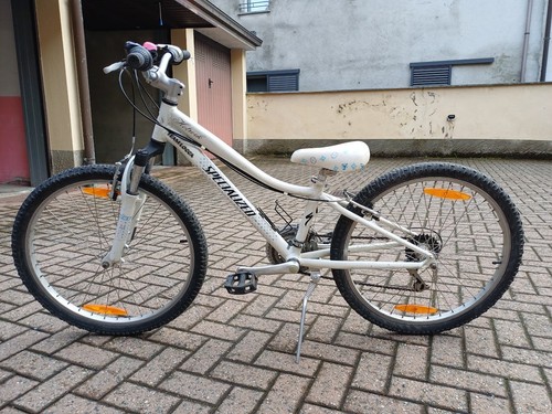 Mountain bike usata