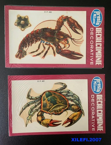 Crostacei aragosta granchio - aragosta,
