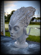 Specie Sil Testa Aliena Busto