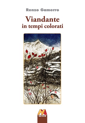 Viandante tempi colorati - in,
