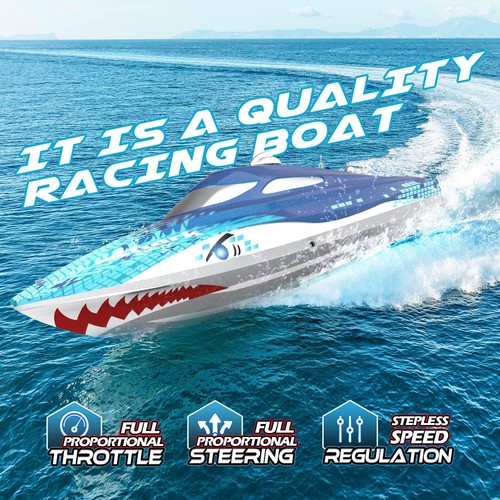 Shark brushless rc - 2.4g,
