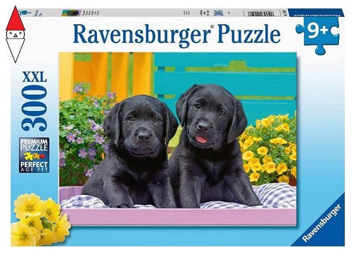 Puzzle ravensburger 300 - ravensburger,
