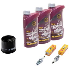 Kit olio ispezione 3L per