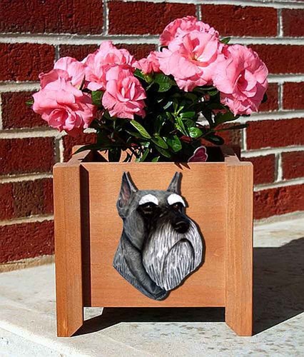Vaso per fiori schnauzer - vaso, sale