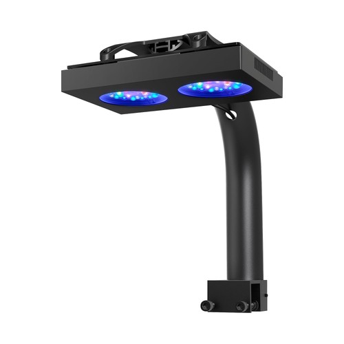 Hyperreef 100 gen - 100, 2