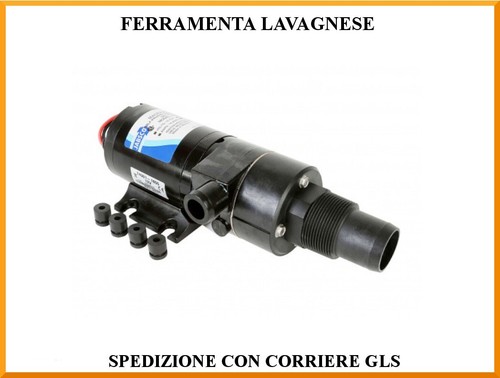 Pompa maceratice maceratore - , 24
