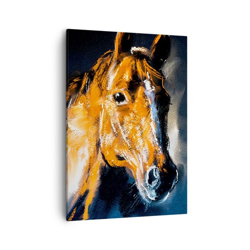 Quadro tela 50x70cm cavallo - quadro,