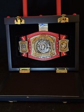 FINAL MATCH MINI CINTURA