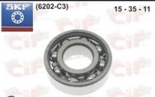 Cuscinetto SKF C3  6202