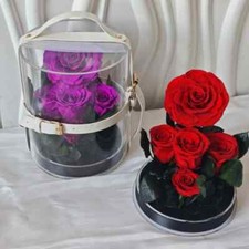 Ingrosso Rosa Rossa Eterna in