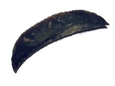 Falce massiccia grande età