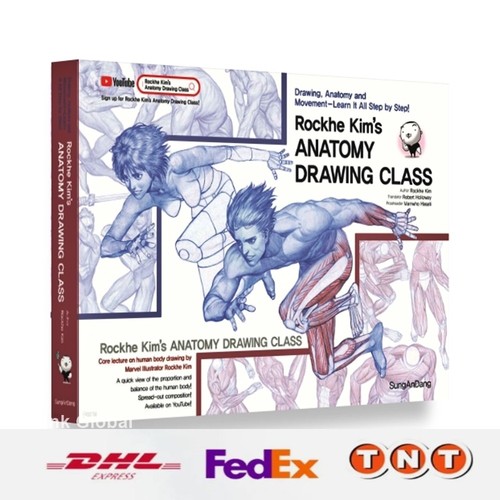 Rockhe kim anatomy - rockhe, kim's