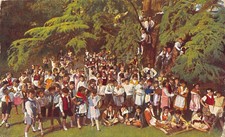 2364) CARTOLINA UDINE FESTA GIOVINEZZA CELEBRAZIONE PANE COSTUMI ANIMATA