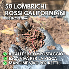 50 Lombrichi Rossi Californiani per Compostaggio e Pesca – Eisenia Fetida