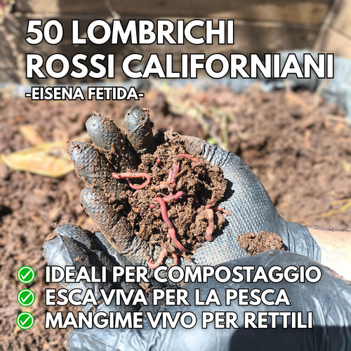 Lombrichi rossi - 50,