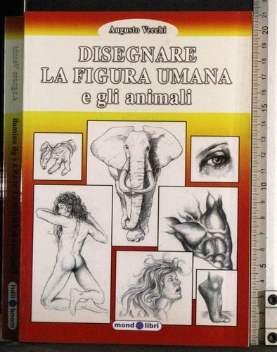 Disegnare figura umana e - disegnare,