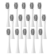 Testina/ugello/spazzolini di