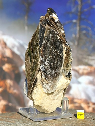 Spectacular muscovite golden - spectacular,