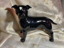 Staffordshire Bull Terrier