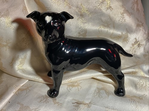 Staffordshire bull terrier - bull,