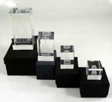 Chiesa Femminile Di Dresda In