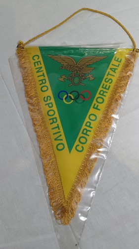 Gagliardetto centro sportivo - gagliardetto,