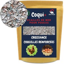 3,5 Kg di Conchiglie Macinate per galline ovaiole e piccioni Più varietà di