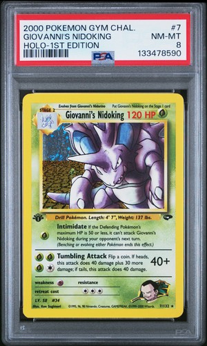 Pokemon gym challenge holo - gym,