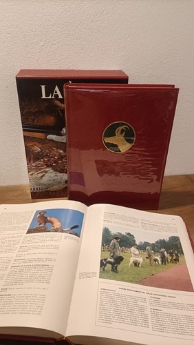 Cofanetto libro due - cofanetto,