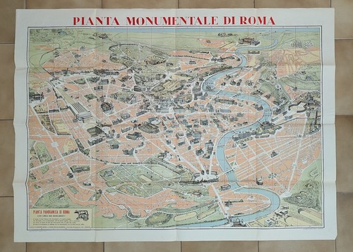 Grande pianta monumentale - grande,