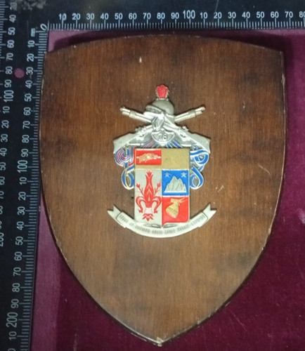 Crest fanteria reggimento - fanteria, 78°