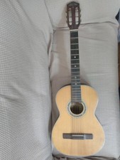 Chitarra acustica Zen-on 9201