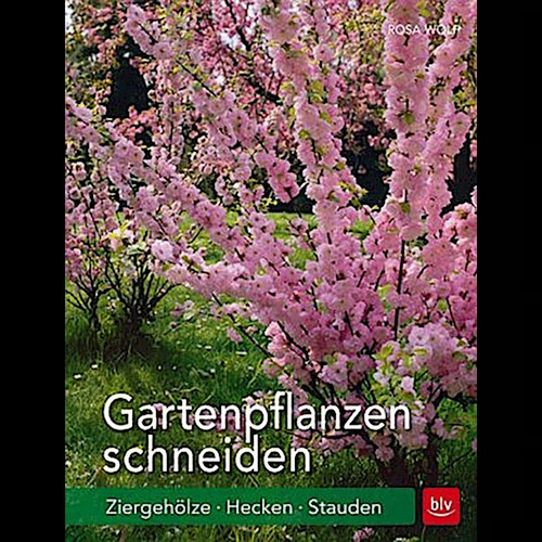 Tagliare piante giardino - tagliare,