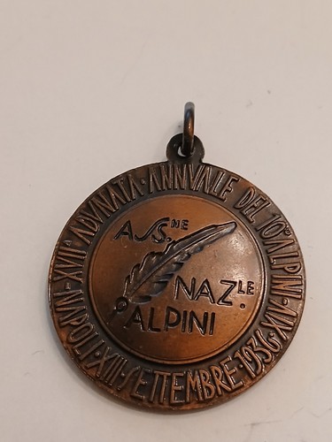 Medaglia adunata alpini 1936 - adunata,