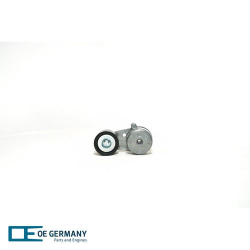 Germany tendicinghia - germany,