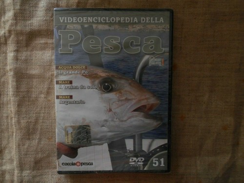 Videoenciclopedia della - -videoenciclopedia,
