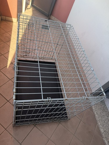 Kennel cane - kennel,
