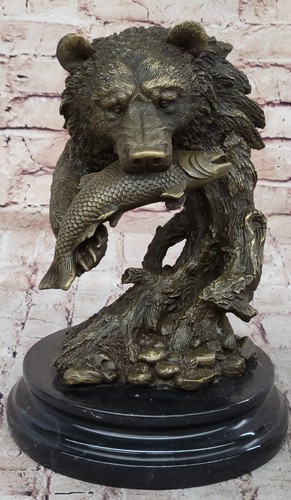 Giovane orso con cattura - orso,