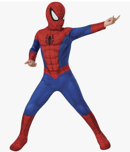 Costume spider man - costume, spider-man