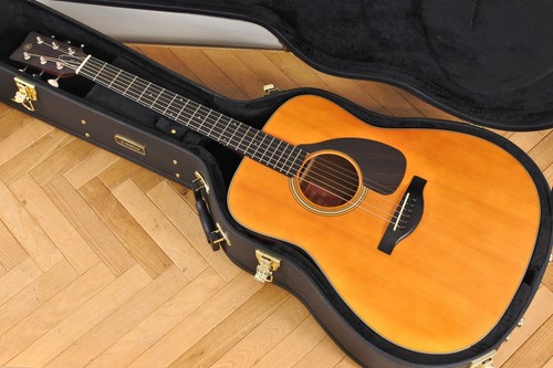 Chitarra elettrica acustica