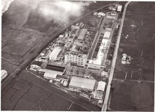 Lepetit-Torre Annunziata-Veduta aerea dello stabilimento-Vera foto anni 50 (511)