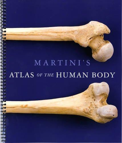 Martini atlas the human - atlas,