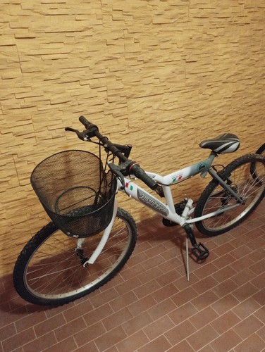 Biciclette bestvelo line