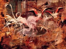 Dipinto olio uccellini