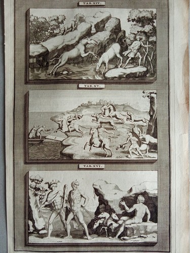 Incisione rame antica - incisione, 1700