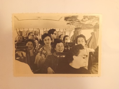 Gita sin bus italia - sin, foto