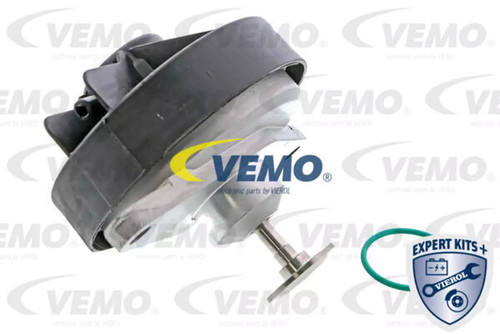 Valvola egr vemo v40 0020 - egr,