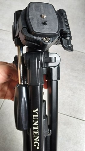Treppiede reflex - treppiede,