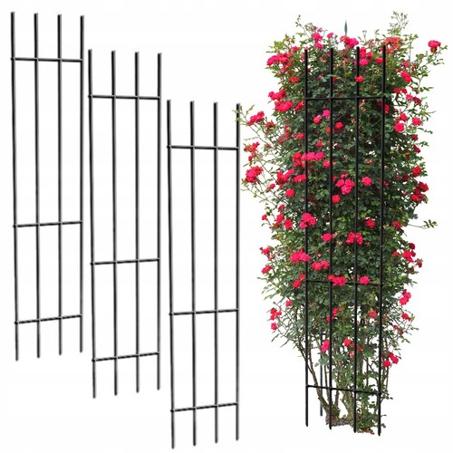 Set pergole giardino - 3,